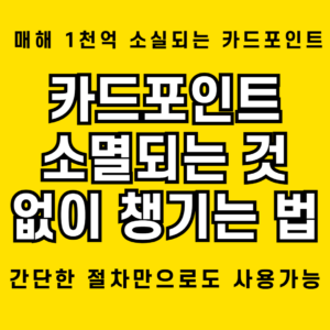 매해 1천억원씩 소실되는 카드포인트를 알뜰하게 챙기는 비결