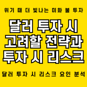달러 투자 시 핵심 전략과 5가지 리스크 요소 분석 1 달러 투자 요즘에도 유의미한 수익을 올릴 수 있는 투자 방식인지 검토
