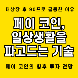 페이 코인: 90프로 급등을 이뤄낸 핵심 기능과 향후 투자 전략 1 페이 코인의 미래와 투자 전망에 대해 알아봄